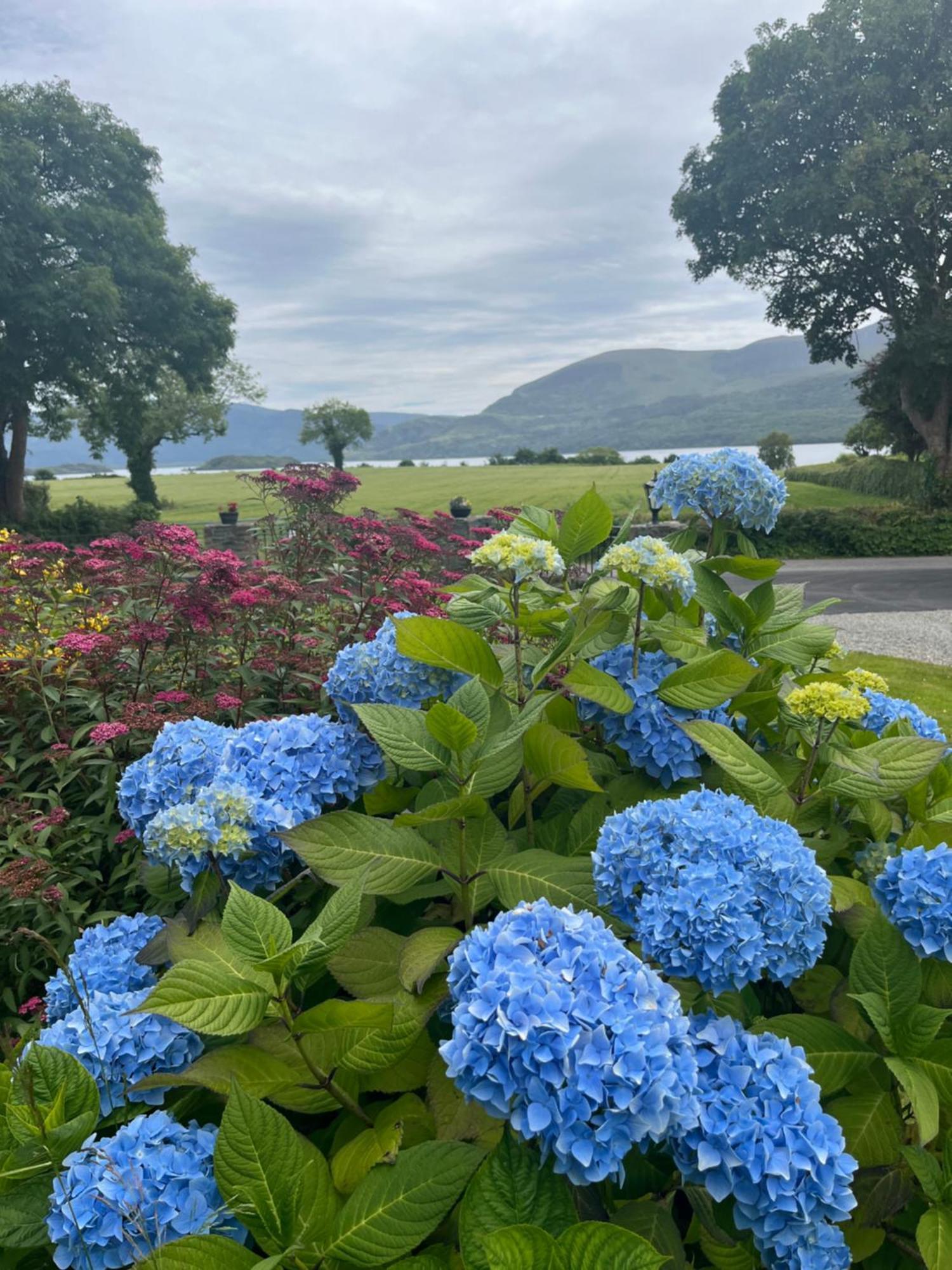 Loch Lein Country House Killarney Zewnętrze zdjęcie